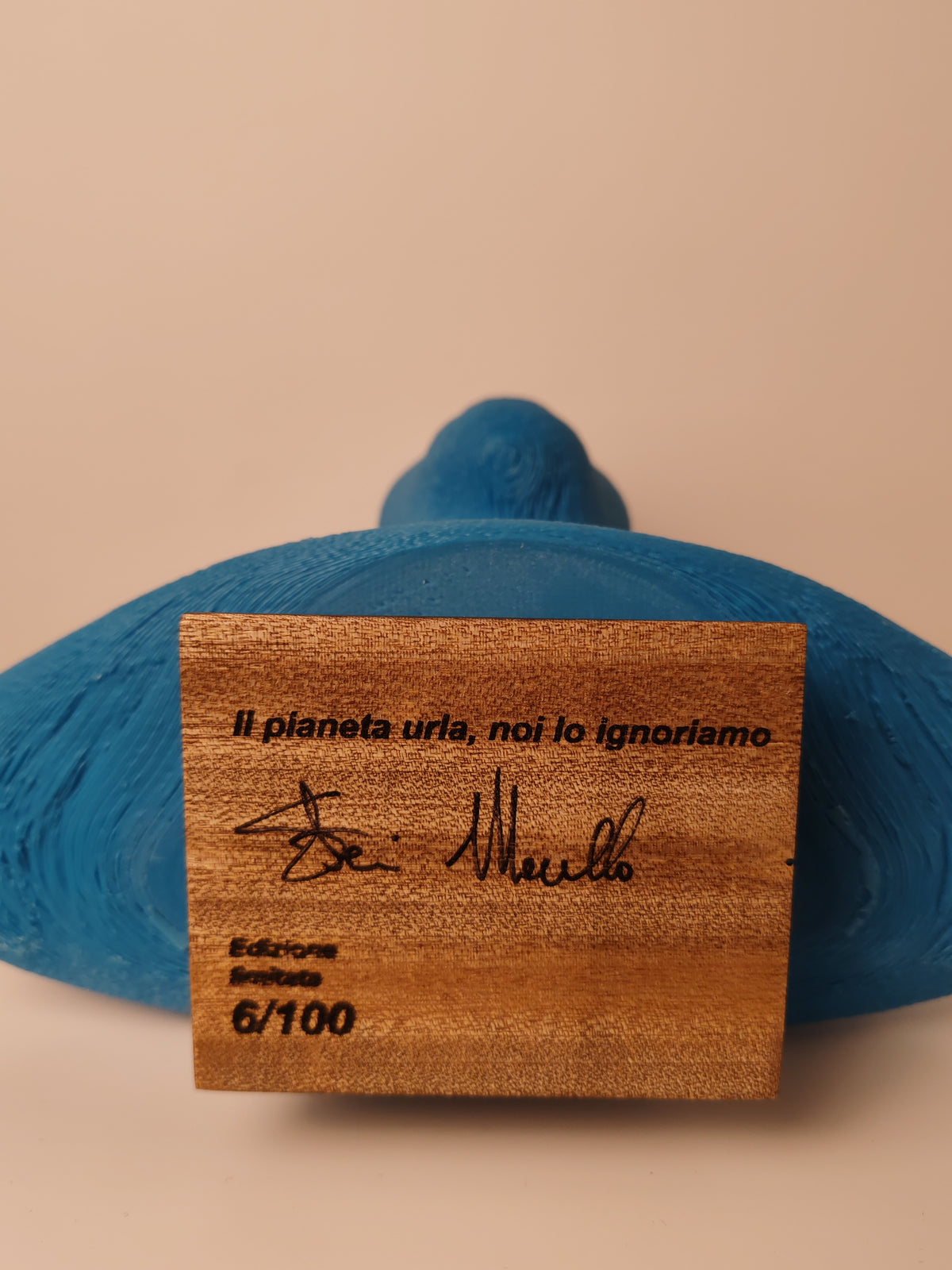 pezzo unico
